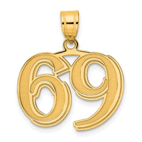 14k Polished Etched Number 69 Pendant-AEN69