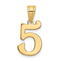 14k Polished Number 5 Pendant-APN05