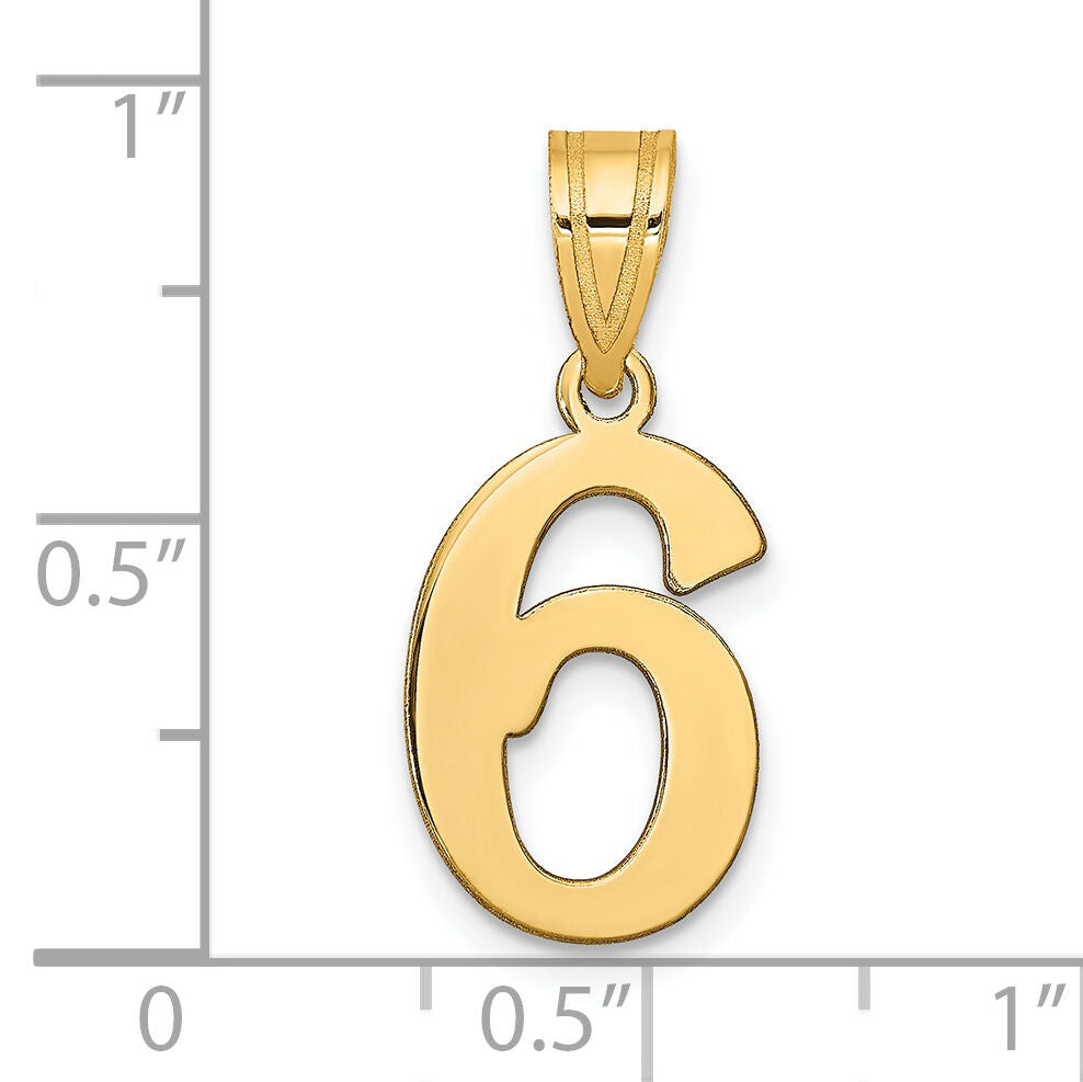 14k Polished Number 6 Pendant-APN06