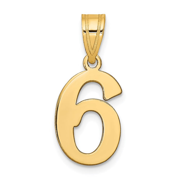 14k Polished Number 6 Pendant-APN06