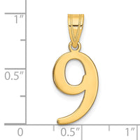 14k Polished Number 9 Pendant-APN09