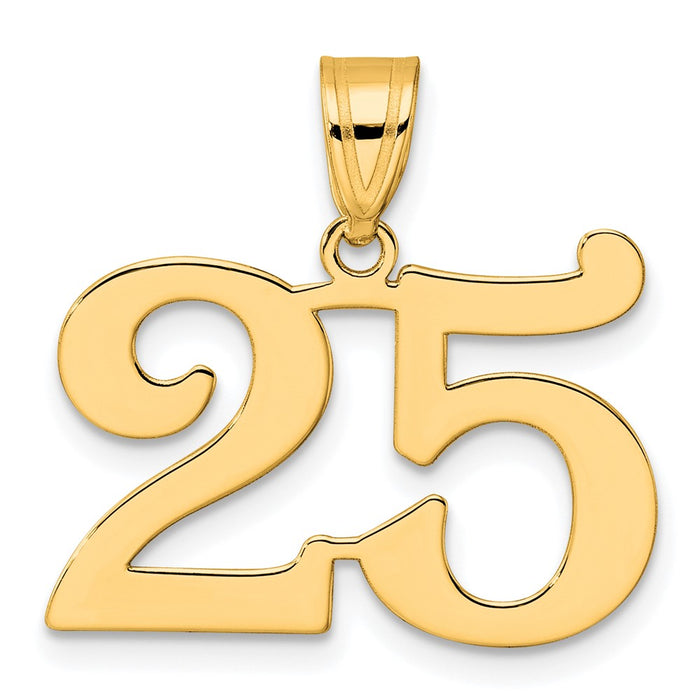 14k Polished Number 25 Pendant-APN25