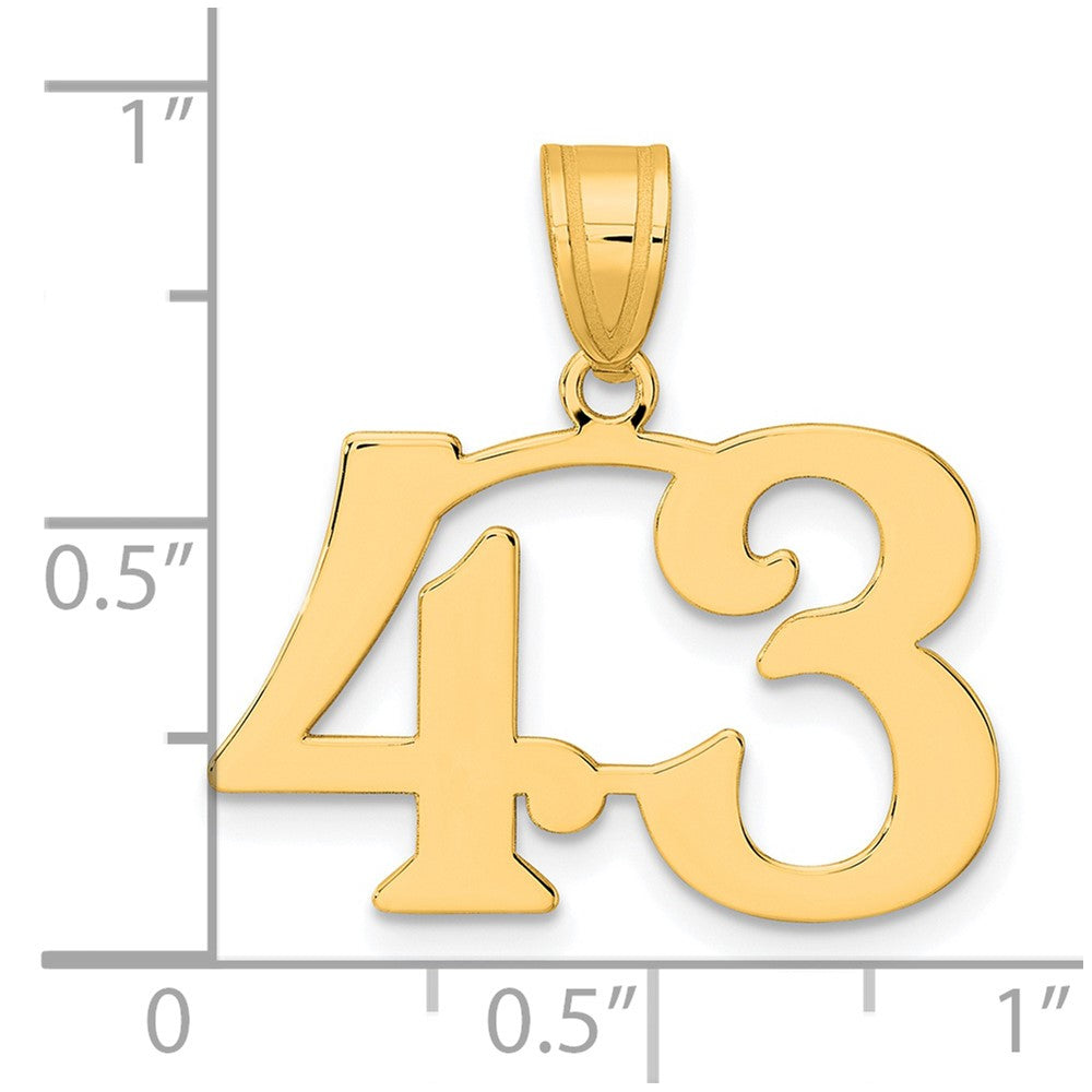 14k Polished Number 43 Pendant-APN43