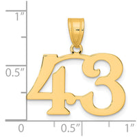 14k Polished Number 43 Pendant-APN43
