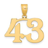 14k Polished Number 43 Pendant-APN43
