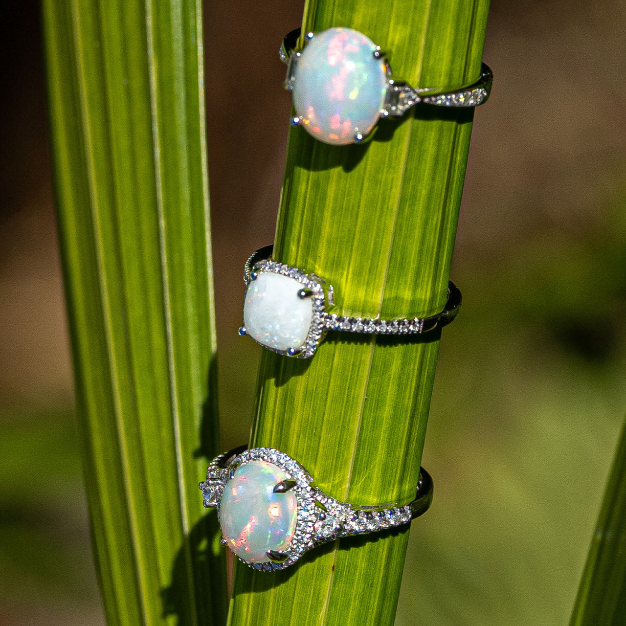 Opal Diamond Rings