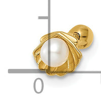 14k 18 Gauge Scallop Shell w/ Freshwater Cultured Pearl Labret Stud-BD178