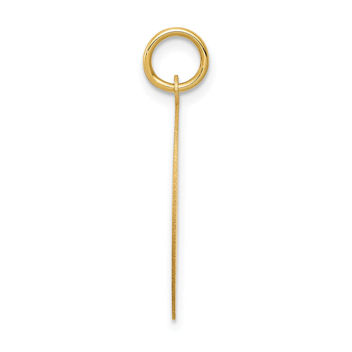 14k WRESTLING Disc Charm-C1240