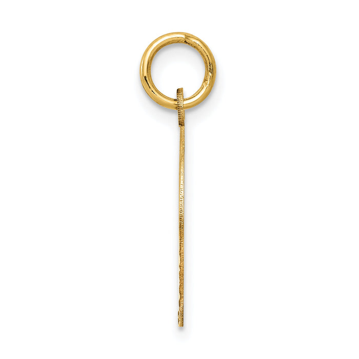 14k Confirmation w/Dove Medal Charm-C1450