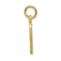14k VERY SPECIAL SIS Charm-C1692