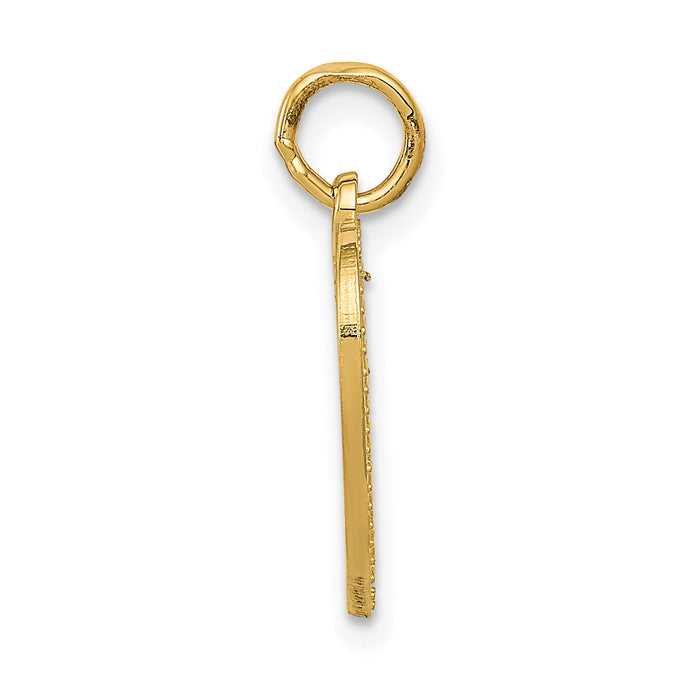 14k VERY SPECIAL SIS Charm-C1692