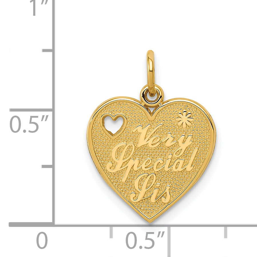14k VERY SPECIAL SIS Charm-C1692