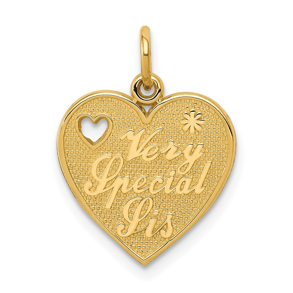 14k VERY SPECIAL SIS Charm-C1692