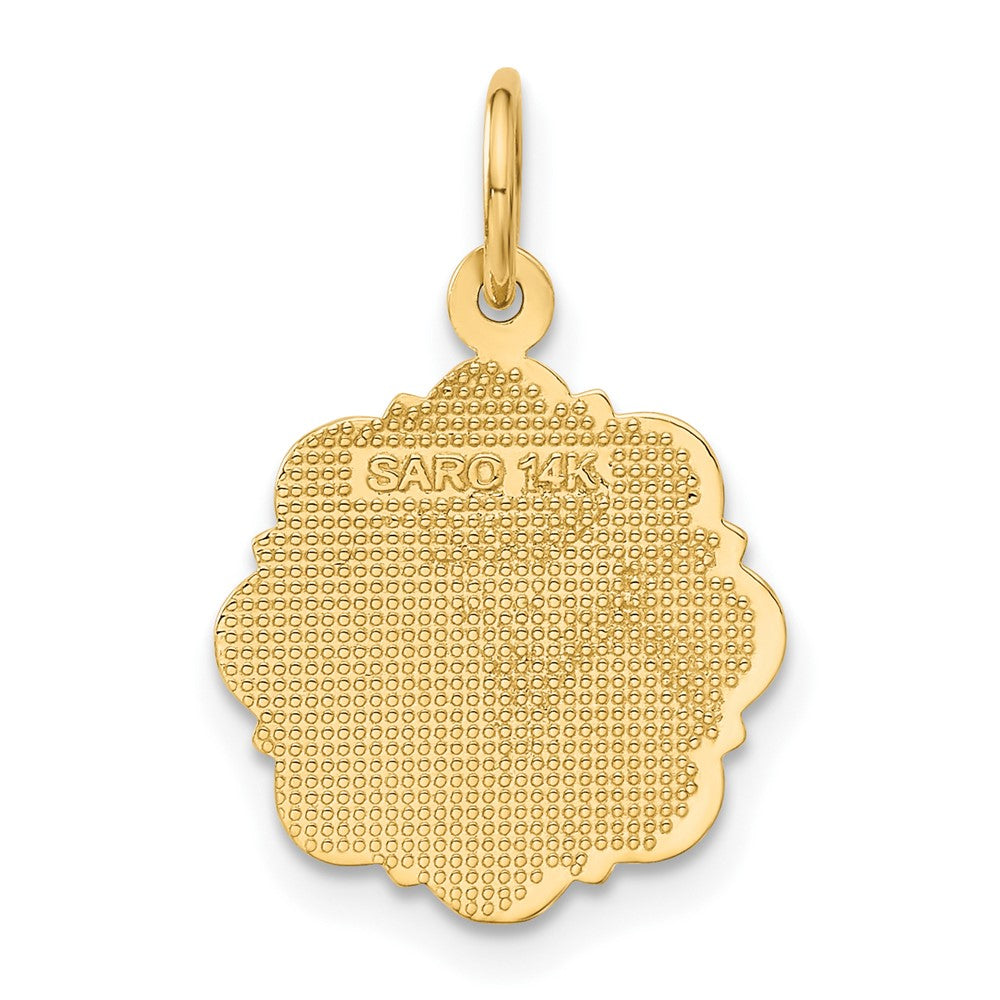14k RN Registered Nurse Disc Charm-C1784