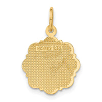 14k RN Registered Nurse Disc Charm-C1784