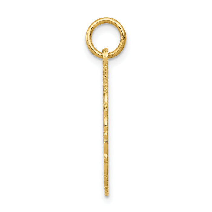 14k RN Registered Nurse Disc Charm-C1786