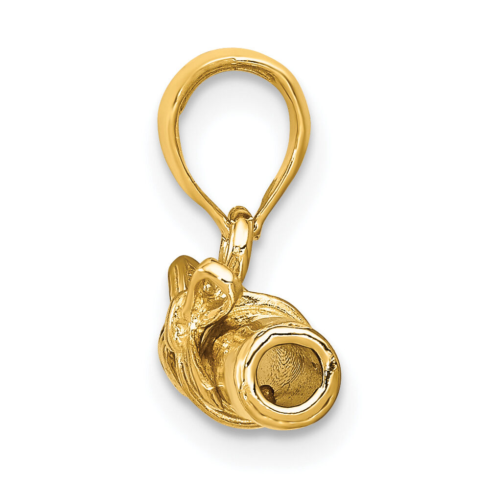 14k 3D Hollow Polished DIPLOMA Pendant-C2224