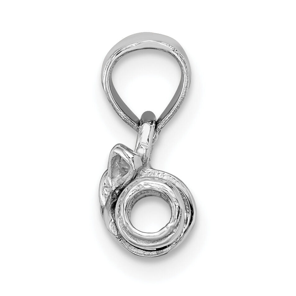 14K White Gold 3-D DIPLOMA  Rolled Up Charm-C2224W