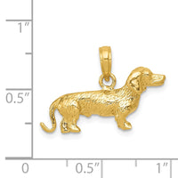 14k Solid Polished 3-D Wire Haired Dachshund Charm-C2360