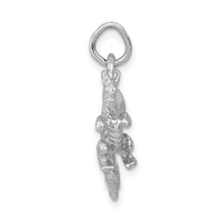 14k White Gold Solid Polished 3-D Dragon Charm-C2378