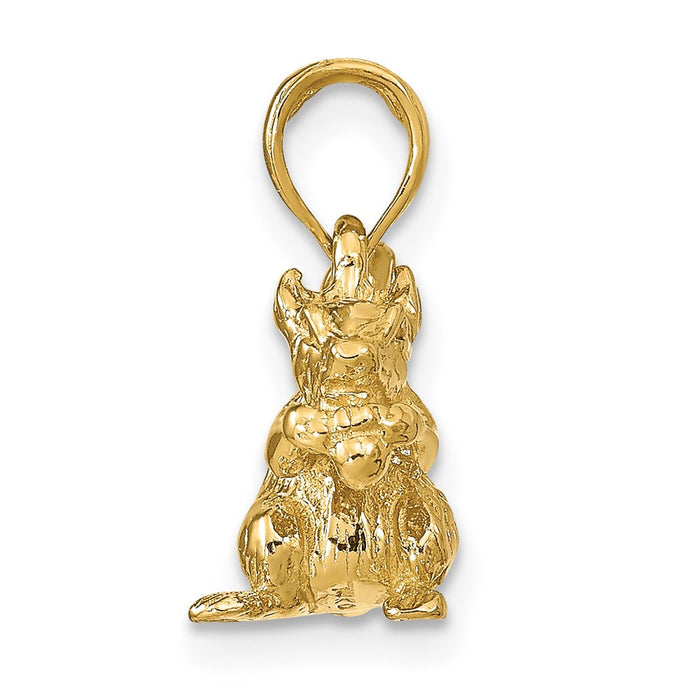 14k Solid 3-D Squirrel with Nut Charm-C2392