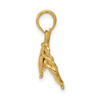 14k Polished Open-Backed Crab Pendant-C2512