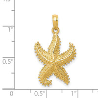 14k Polished Open-Backed Starfish Pendant-C2537
