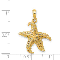 14k Polished Open-Backed Starfish Pendant-C2538