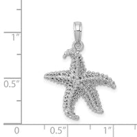 14k White Gold Polished Open-Backed Starfish Pendant-C2538W