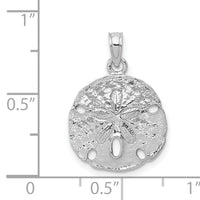 14k White Gold Polished Sand Dollar Pendant-C2542W