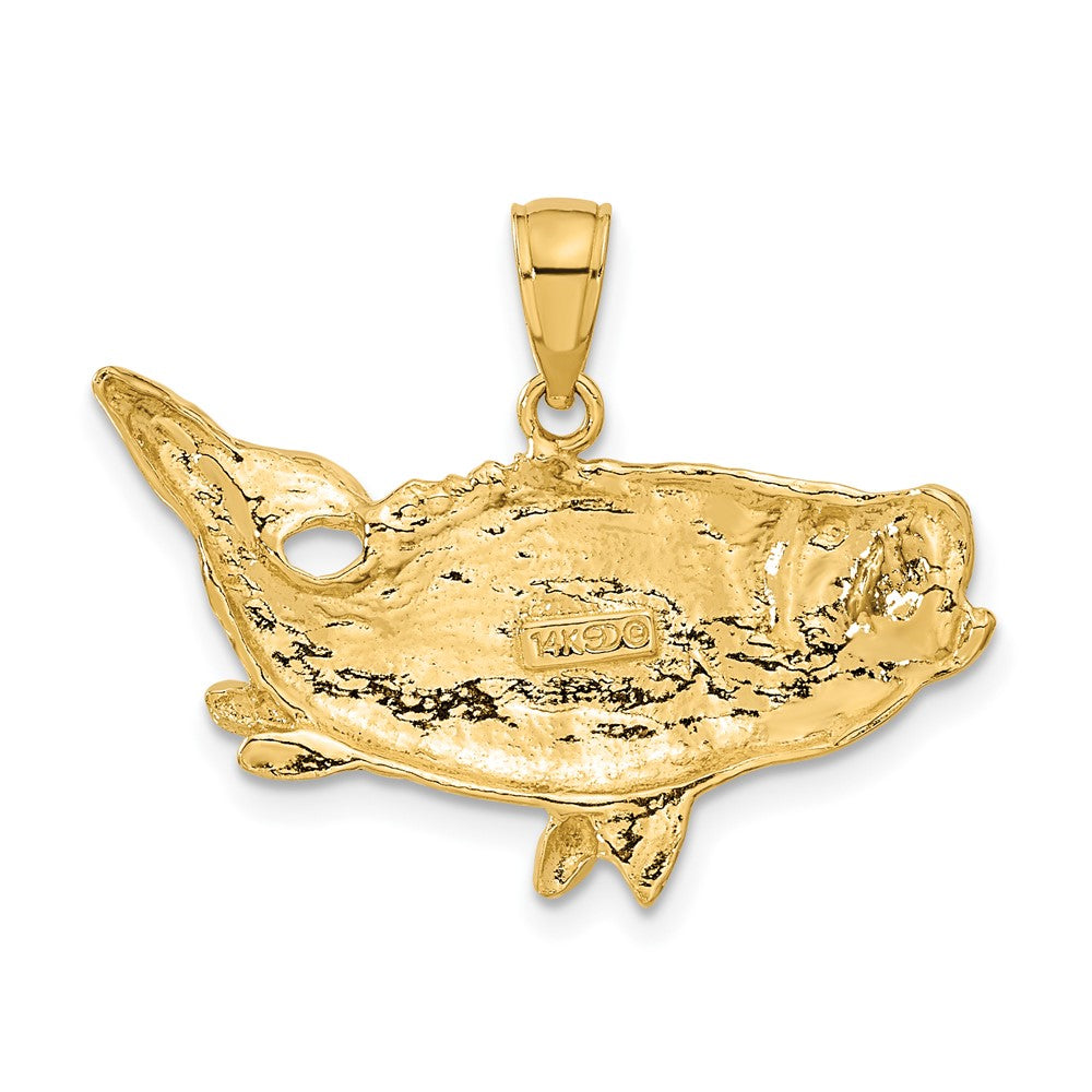 14k Polished Open-Backed Bass Fish Pendant-C2574
