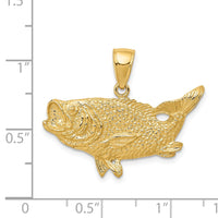 14k Polished Open-Backed Bass Fish Pendant-C2574