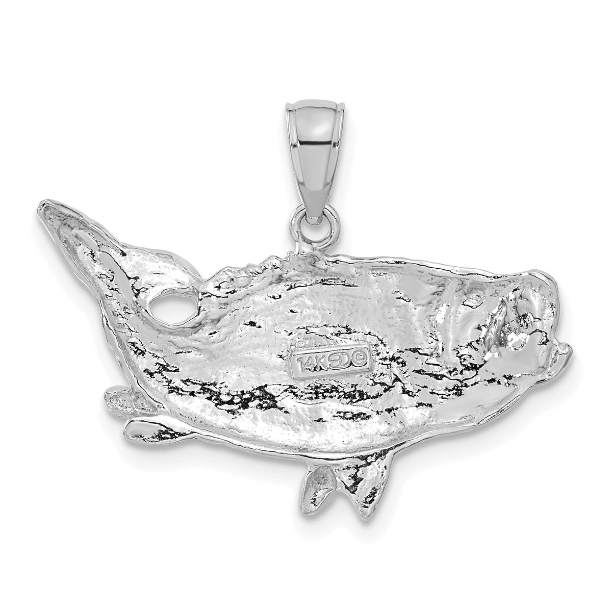14k White Gold Polished Open-Backed Bass Fish Pendant-C2574W