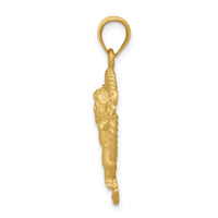 14k Satin Angel in Circle Pendant-C27