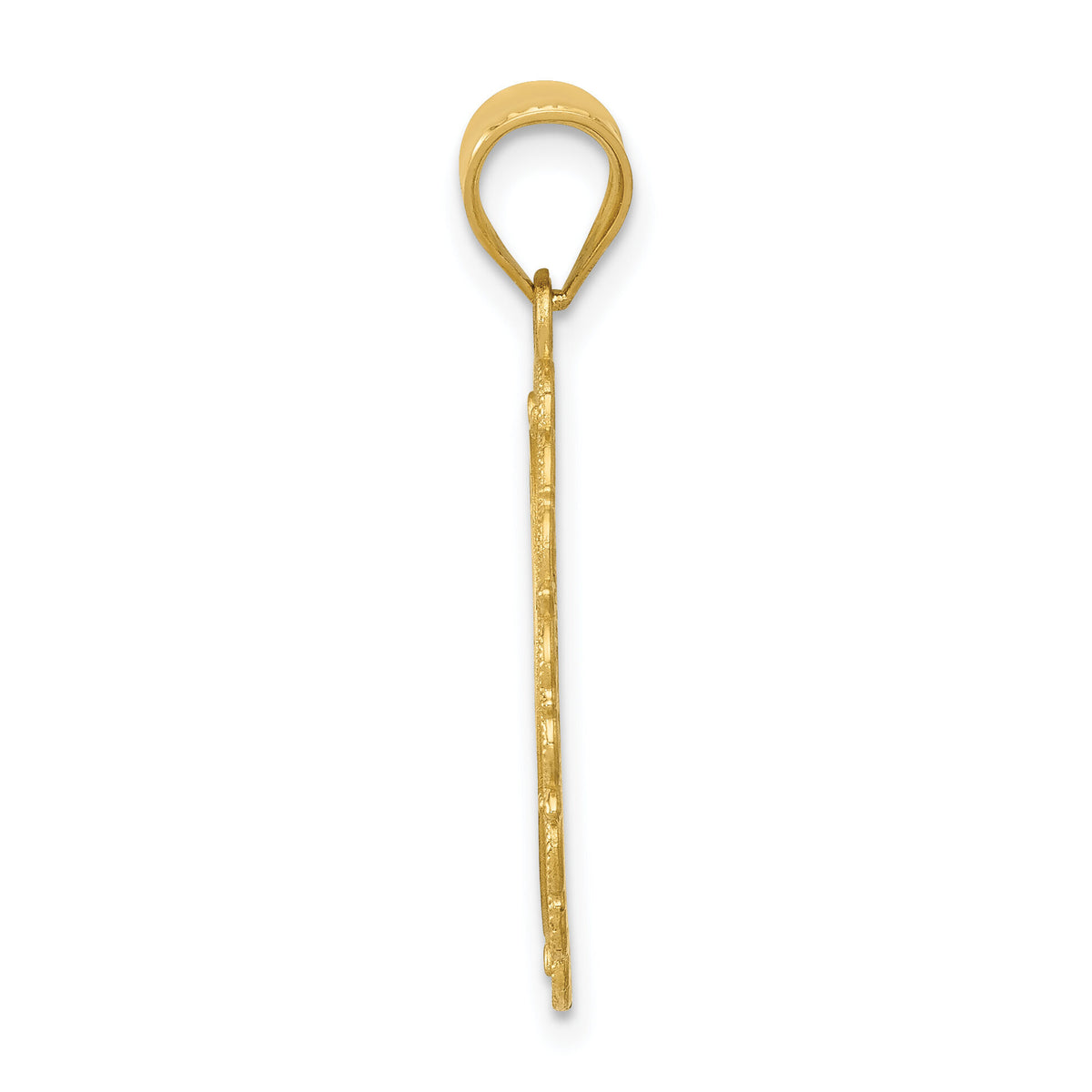 14k Solid Satin Polished Leo Zodiac Oval Pendant-C2847