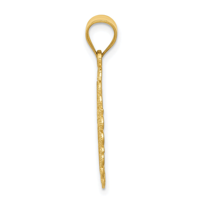 14k Solid Satin Polished Aquarius Zodiac Oval Pendant-C2853