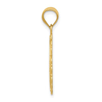14k Solid Satin Polished Pisces Zodiac Oval Pendant-C2854