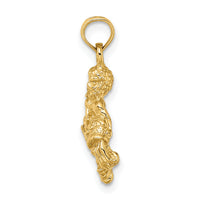 14k 3-D Aquarius Zodiac Charm-C3153