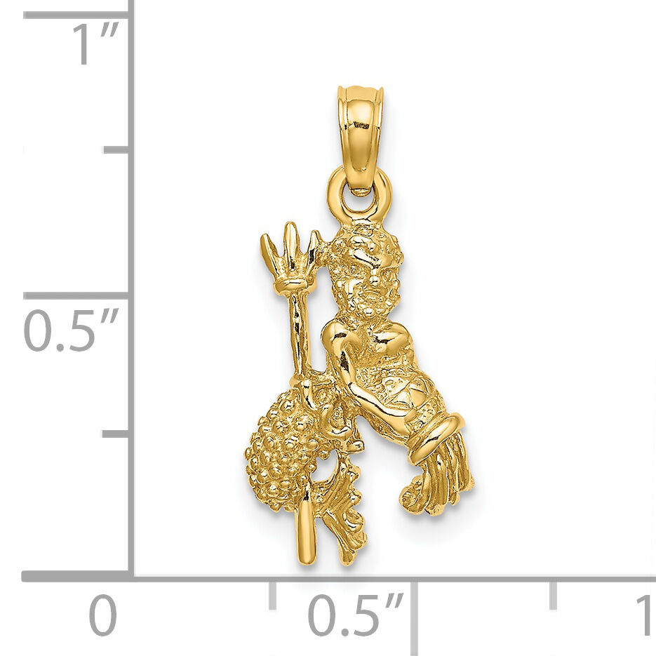 14k 3-D Aquarius Zodiac Charm-C3153