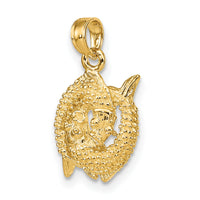 14k 3-D Pisces Zodiac Charm-C3154