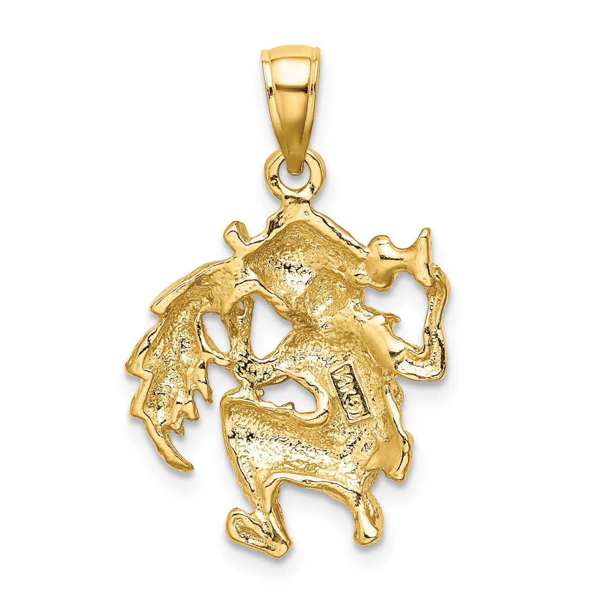 14k Large Aquarius Zodiac Charm-C3177