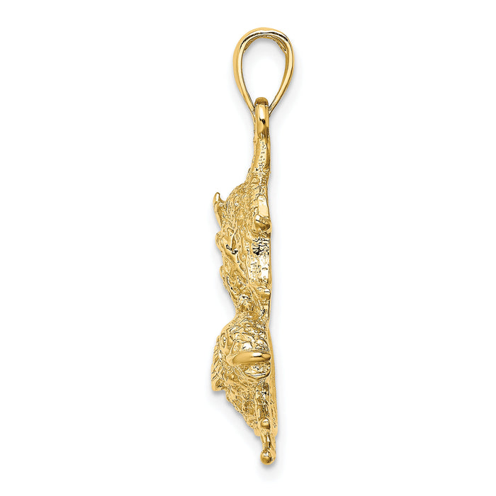 14k Large Pisces Zodiac Charm-C3178