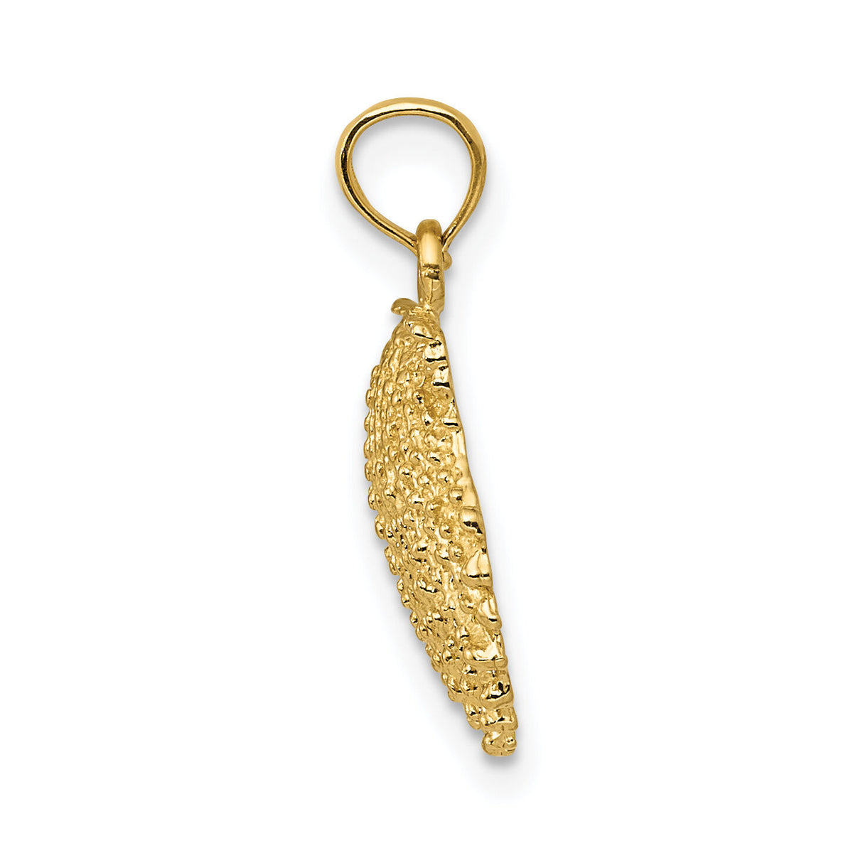 14k Textured Scallop Shell Pendant-C3376