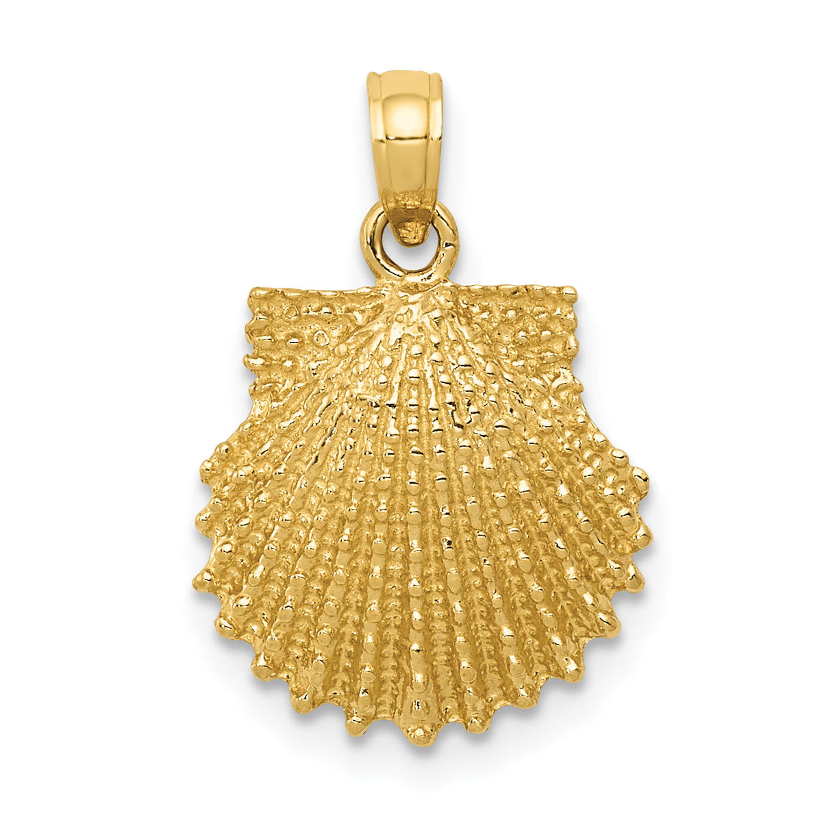14k Textured Scallop Shell Pendant-C3376