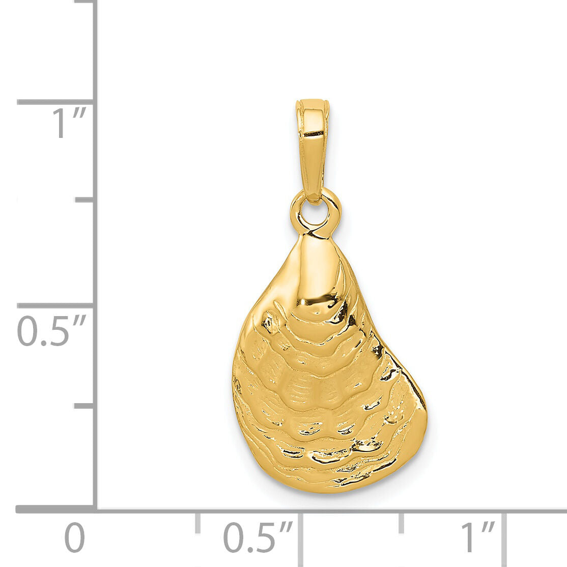 14k Oyster Shell Pendant-C3384
