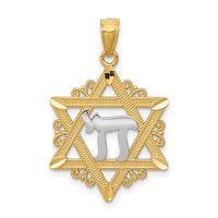 14k w/Rhodium Star of David Pendant-C3989