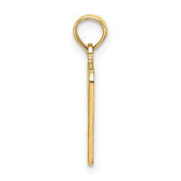 14k BIRTH CERTIFICATE Charm-C3994