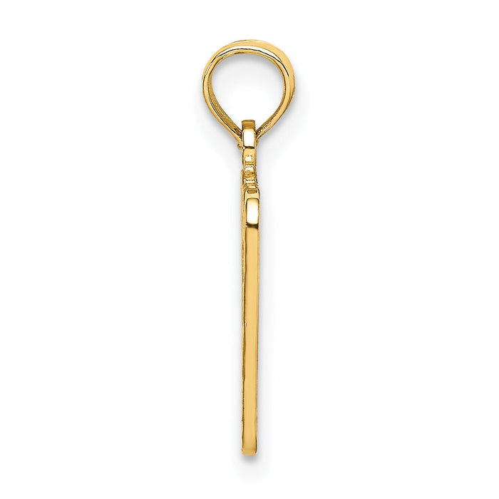 14k BIRTH CERTIFICATE Charm-C3994
