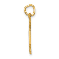 14k RN Nurse Charm-C432