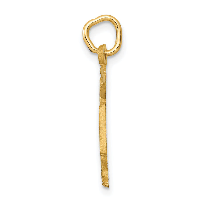 14k RN Nurse Charm-C432